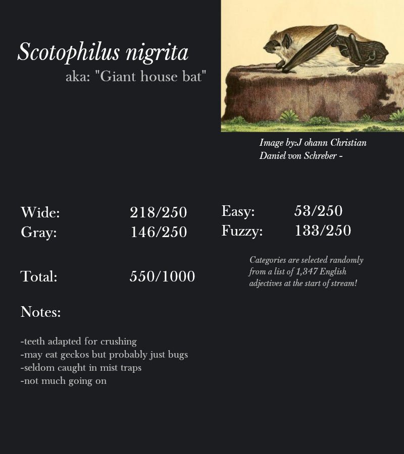 Scotophilus nigrita